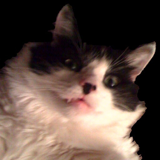 CatDoku - Cat Sudoku app icon